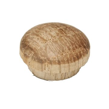 C-3015 1/2" Button Plug Oak