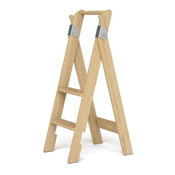 Putnam Folding Pivot Ladder