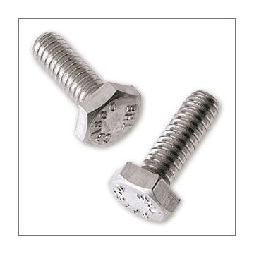 Feeney 3322 Hex Head Bolt - 316 Stainless Steel